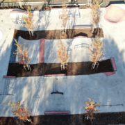 Weiden in der Oberpfalz – Skatepark Eröffnung 4. November 2021 Weiden in der Oberpfalz - Skatepark Eröffnung 4. November 2021