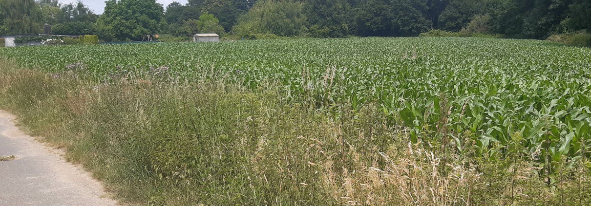 BL Post Projekt - Straelen - Planungsbeginn - 220920