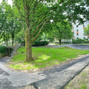 MLA_Galerie_Ratingen_Pumptrack_240606-Baustellenupdate MLA_Galerie_Ratingen_Pumptrack_240606-Baustellenupdate